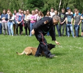 Ukázka výcviku policejních psů